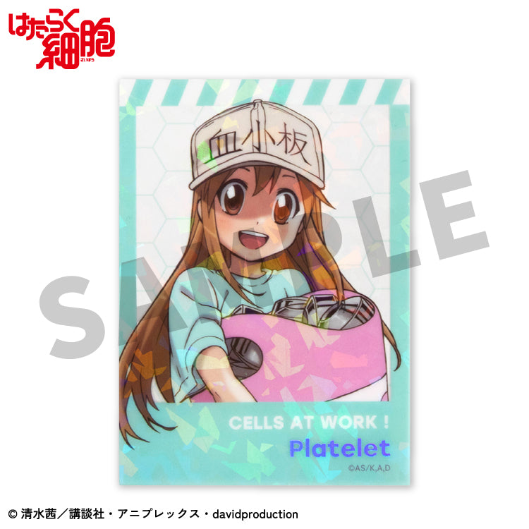 【予約販売】はたらく細胞 コラボ ステッカー(クリア)