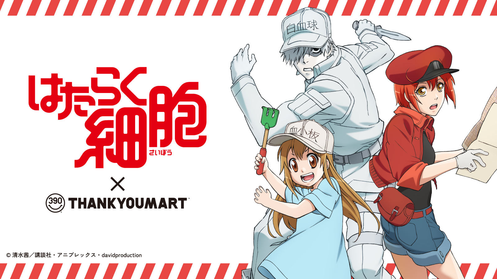 TVアニメ『はたらく細胞』とのコラボ雑貨が新登場！ – サンキューマート