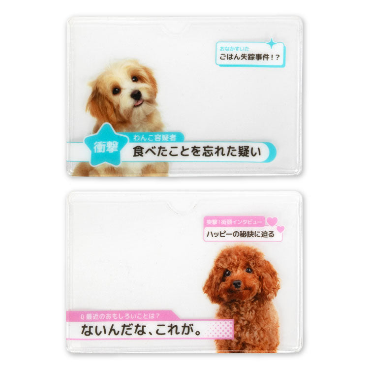 顔隠しケース2P