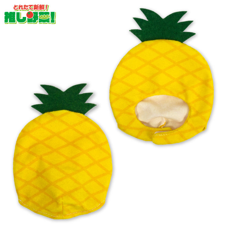 【予約販売】とれたて新鮮！推し野菜！ ぬいぐるみ用着ぐるみ