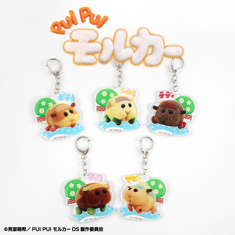 PUI PUI モルカー コラボ ぷっくりアクリルキーホルダー