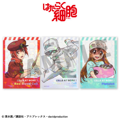 【予約販売】はたらく細胞 コラボ ステッカー(クリア)