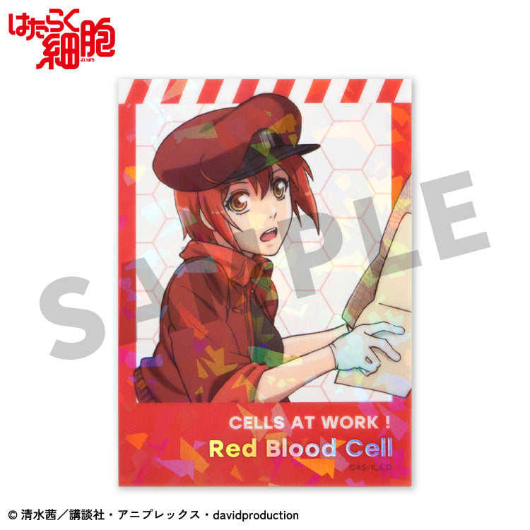 【予約販売】はたらく細胞 コラボ ステッカー(クリア)