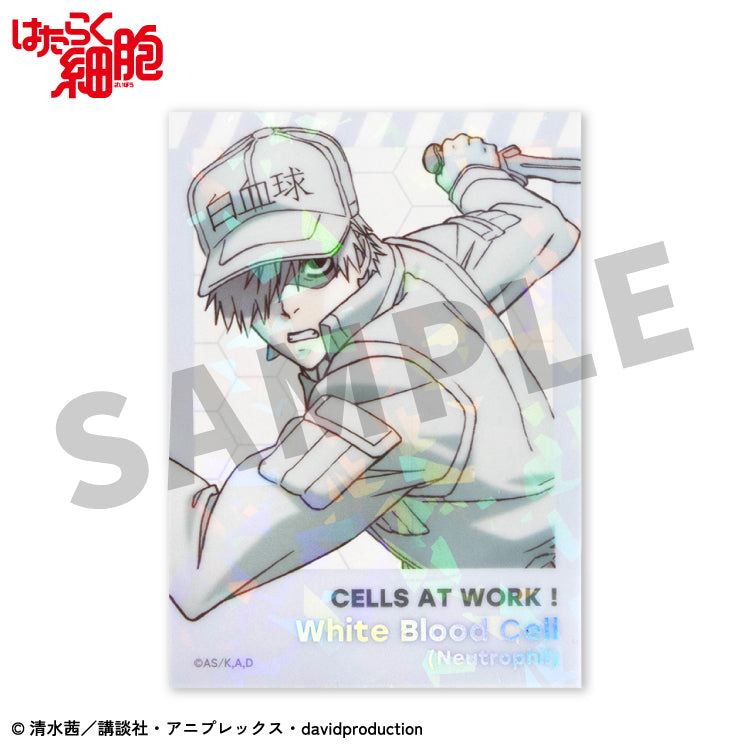 【予約販売】はたらく細胞 コラボ ステッカー(クリア)