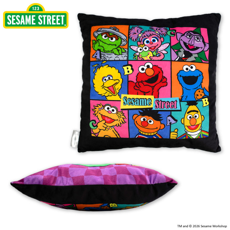 SESAME STREETセサミストリートｘ KITH PILLOW クッション SESAME STREET（セサミストリート）x KITH (キス) PILLOW クッション